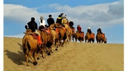 Caravana de camelos na Rota da Seda