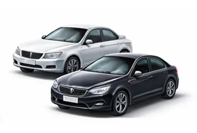 Entrega expresso Carros em Zwijnaarde BE